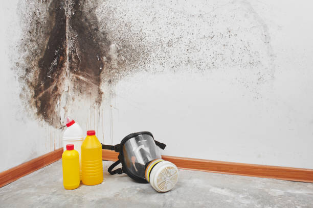 Best Mold Testing  in Barview, OR