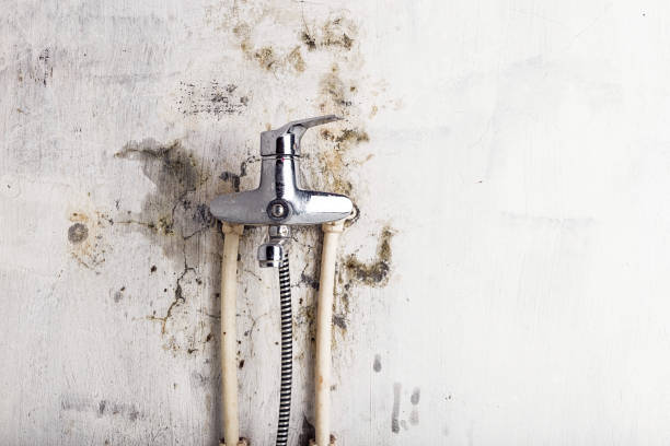 Best Mold Testing  in Barview, OR