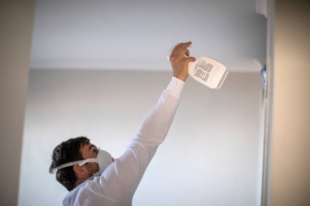 Best Certified Mold Removal  in Barview, OR