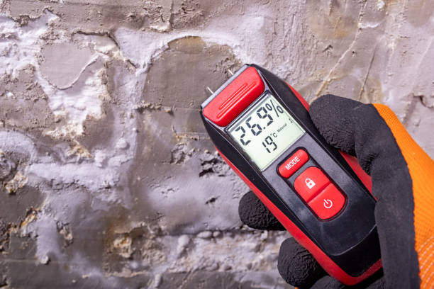 Best Mold Remediation Services  in Barview, OR