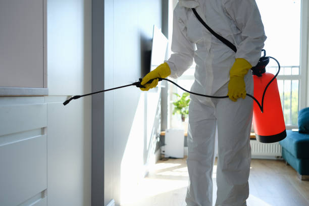 Water Damage Restoration in Barview, OR