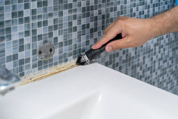 Best Mold Removal Near Me  in Barview, OR