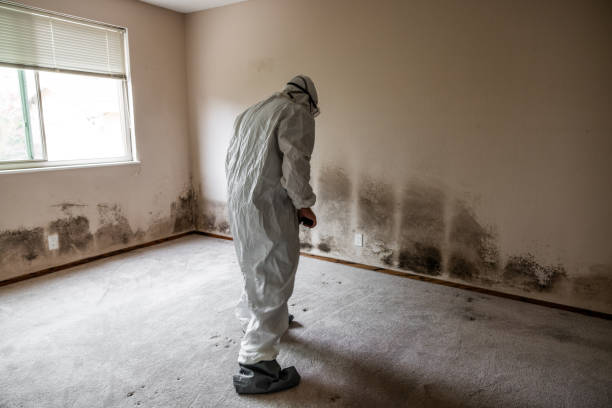 Mold Removal and Inspection in Barview, OR